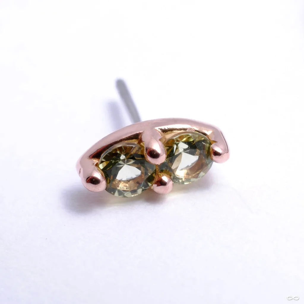 2 Stone Marquise Press-fit End in Gold from LeRoi