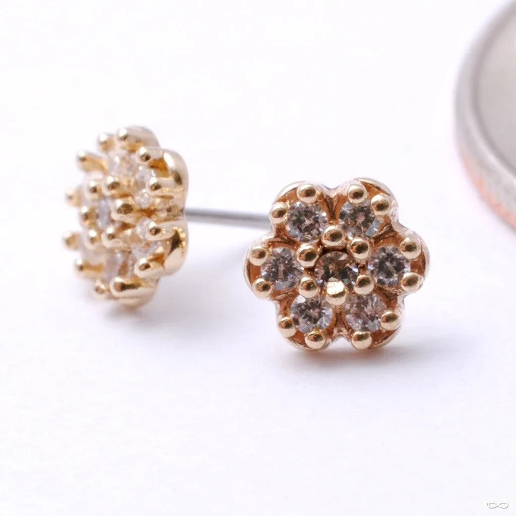 7 Stone Rounded Flower Press-fit End in Gold from LeRoi