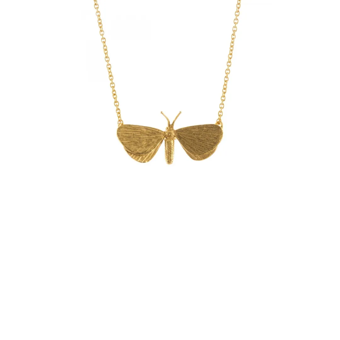 Drab Looper Moth Necklace