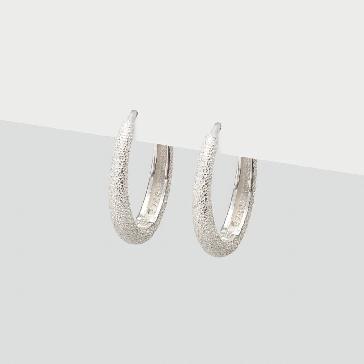 Shiny Silver Hoop Earrings