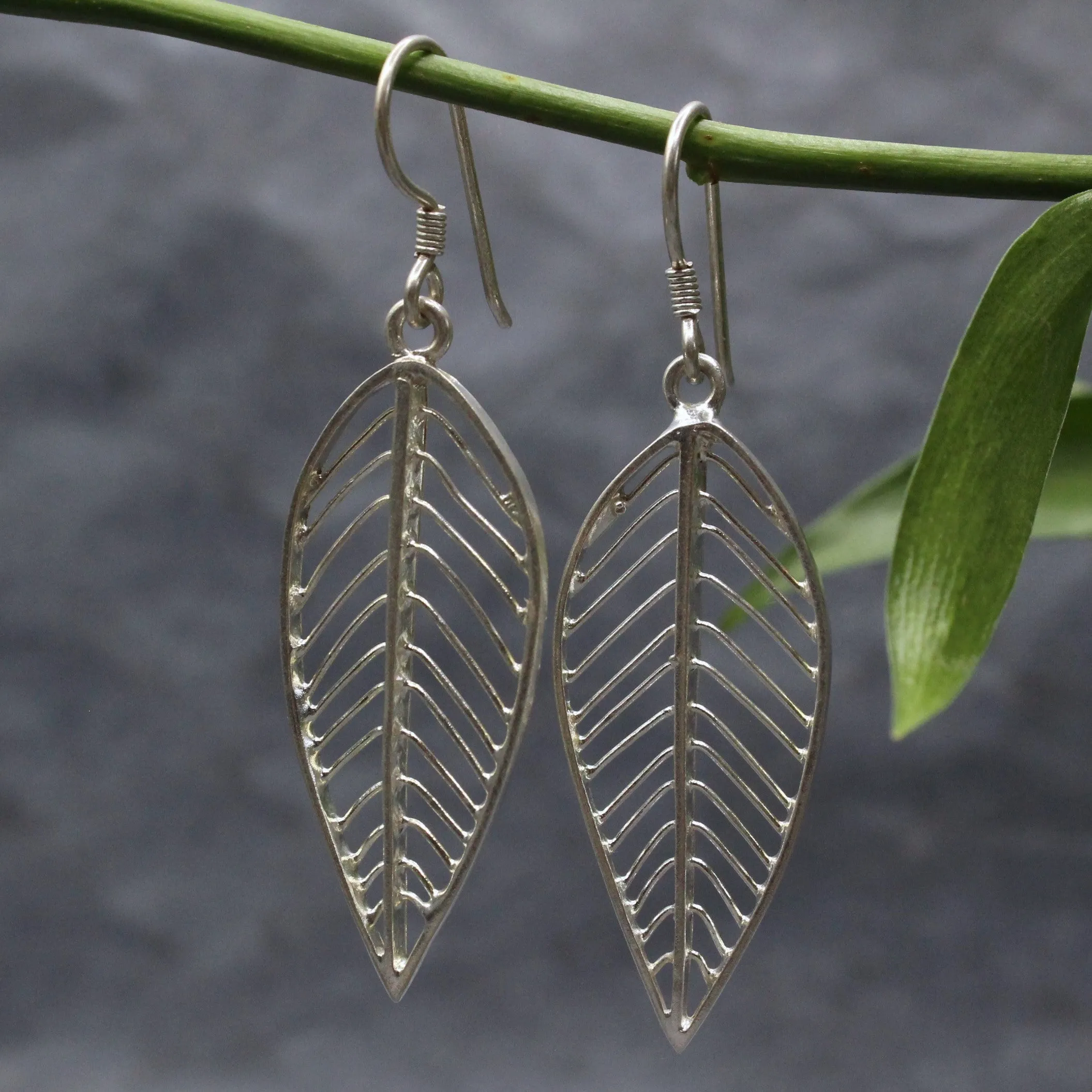 Willow Silver Earrings